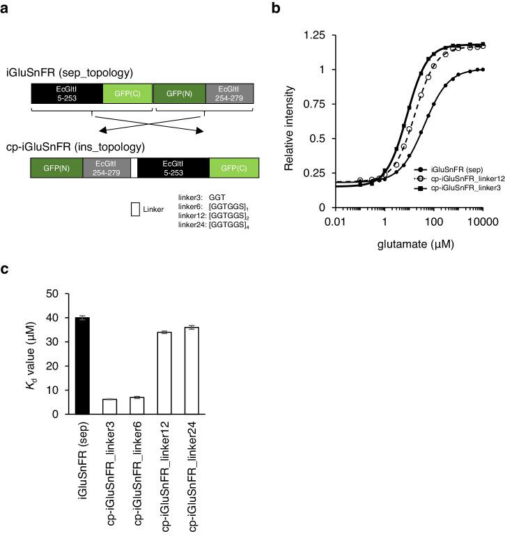 https://cdn.ncbi.nlm.nih.gov/pmc/blobs/7a21/11162441/6c956c558068/42003_2024_6394_Fig5_HTML.jpg