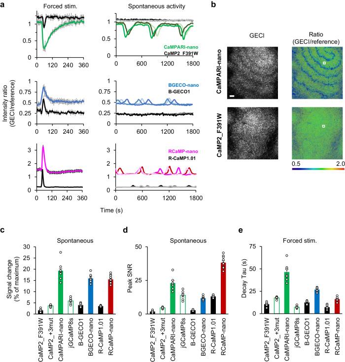https://cdn.ncbi.nlm.nih.gov/pmc/blobs/7a21/11162441/b13cd699332c/42003_2024_6394_Fig2_HTML.jpg
