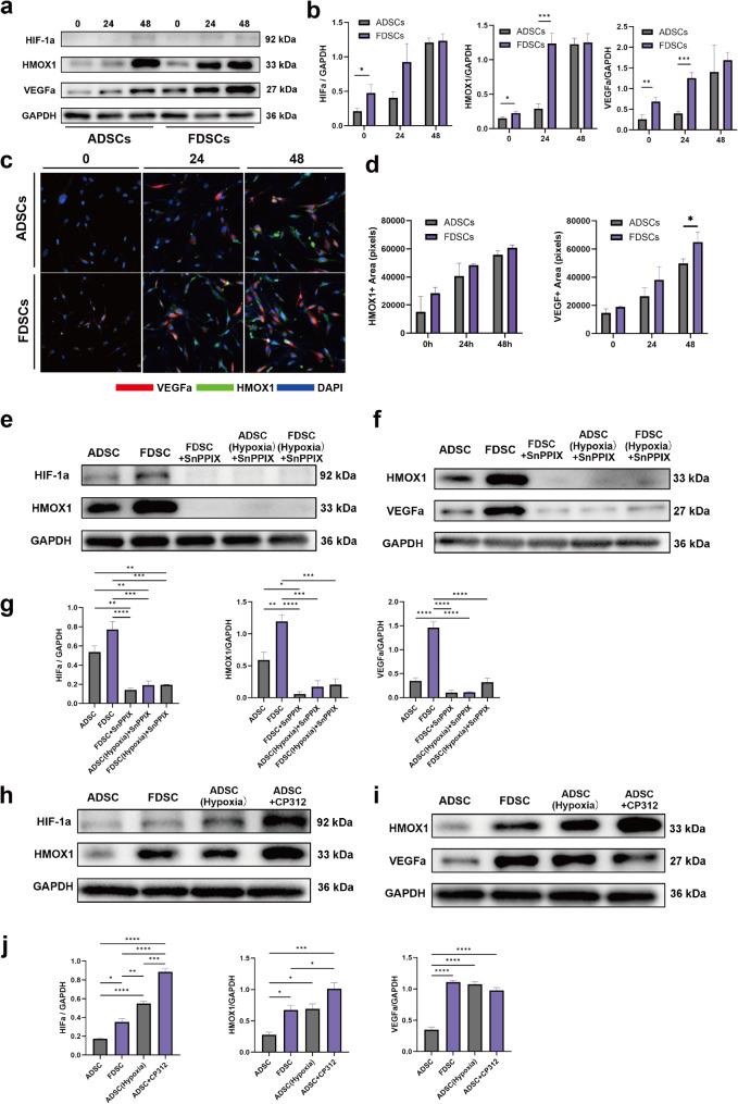https://cdn.ncbi.nlm.nih.gov/pmc/blobs/7a21/11863534/3c21b0c7fe40/13287_2025_4204_Fig5_HTML.jpg