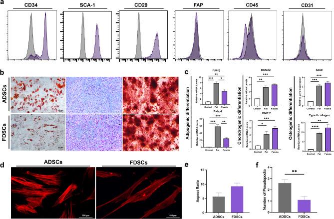 https://cdn.ncbi.nlm.nih.gov/pmc/blobs/7a21/11863534/58cef19f3b29/13287_2025_4204_Fig2_HTML.jpg
