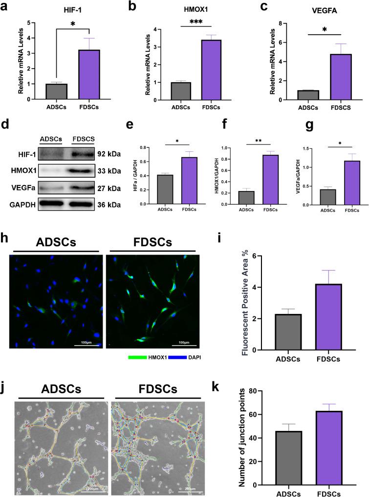 https://cdn.ncbi.nlm.nih.gov/pmc/blobs/7a21/11863534/681087e9661c/13287_2025_4204_Fig4_HTML.jpg