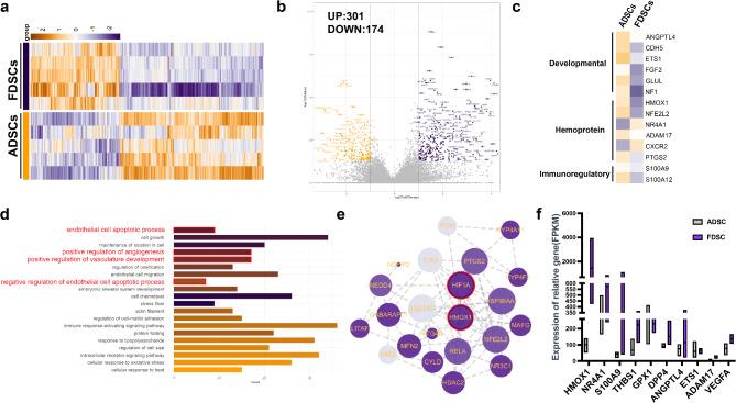 https://cdn.ncbi.nlm.nih.gov/pmc/blobs/7a21/11863534/8be64a2b08ca/13287_2025_4204_Fig3_HTML.jpg