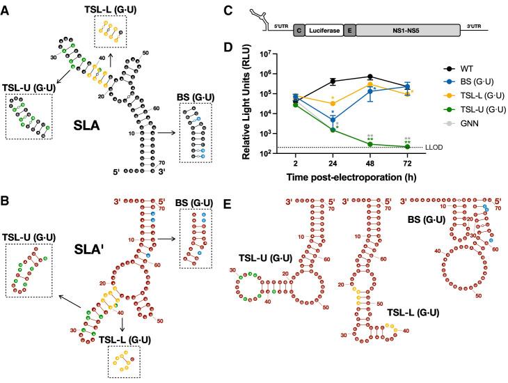 https://cdn.ncbi.nlm.nih.gov/pmc/blobs/7a23/12265937/0a673e1008d0/1139f06.jpg
