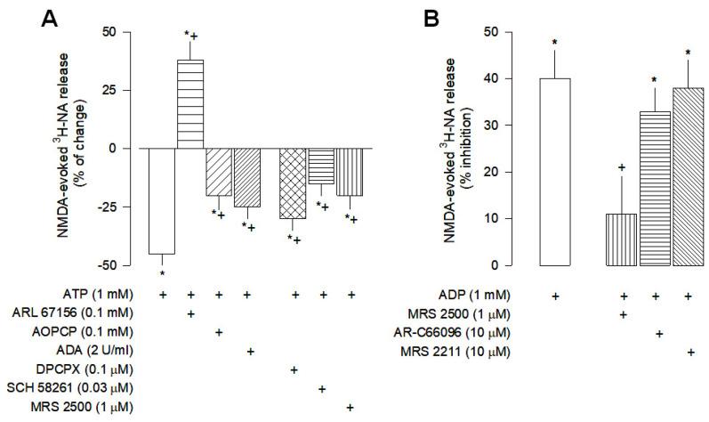 https://cdn.ncbi.nlm.nih.gov/pmc/blobs/7a24/10341078/02e8888decaa/cells-12-01690-g003.jpg