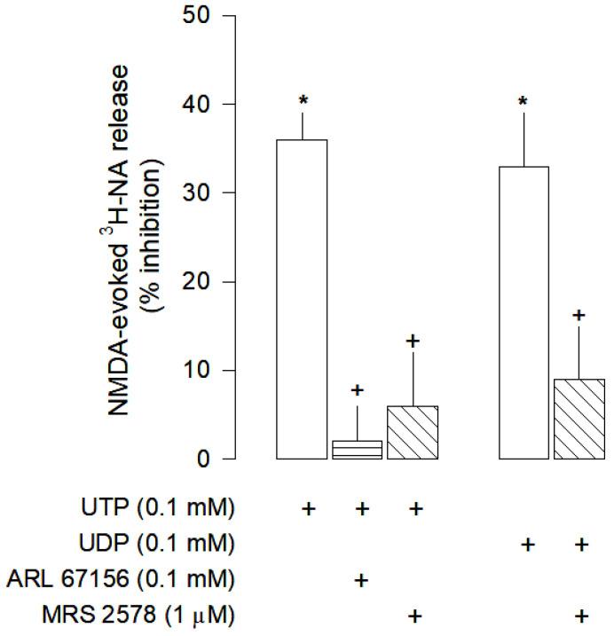 https://cdn.ncbi.nlm.nih.gov/pmc/blobs/7a24/10341078/53458c9aac25/cells-12-01690-g004.jpg