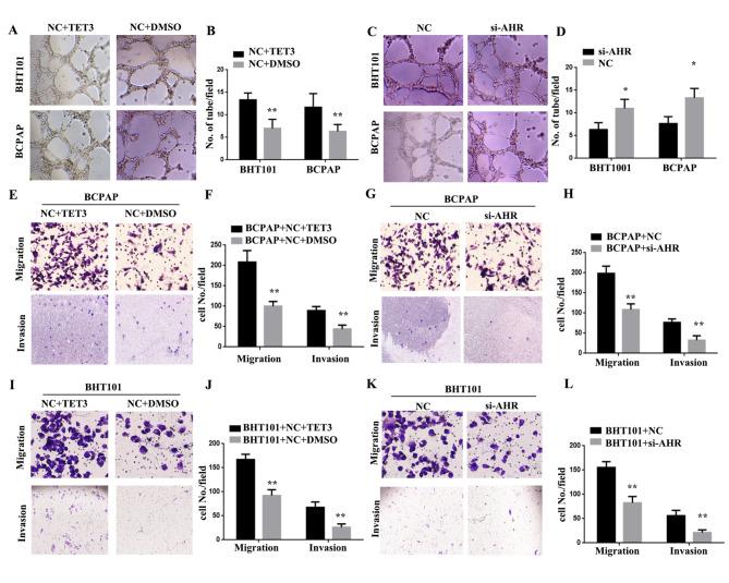 https://cdn.ncbi.nlm.nih.gov/pmc/blobs/7a24/10506260/14da6d707476/12935_2023_3021_Fig4_HTML.jpg