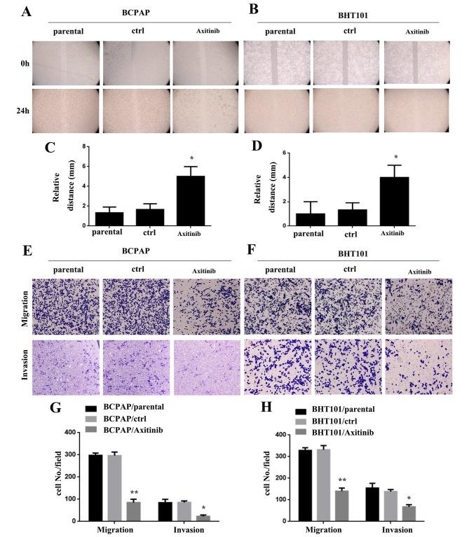 https://cdn.ncbi.nlm.nih.gov/pmc/blobs/7a24/10506260/7335bd4d0f62/12935_2023_3021_Fig7_HTML.jpg
