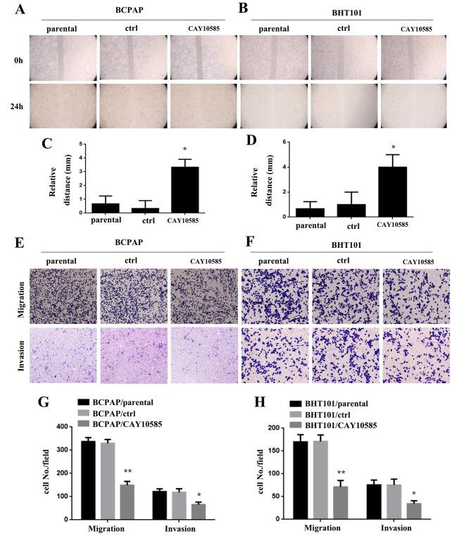 https://cdn.ncbi.nlm.nih.gov/pmc/blobs/7a24/10506260/b2fd8f4ab510/12935_2023_3021_Fig6_HTML.jpg