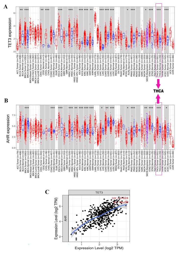 https://cdn.ncbi.nlm.nih.gov/pmc/blobs/7a24/10506260/fbf262e2178d/12935_2023_3021_Fig1_HTML.jpg