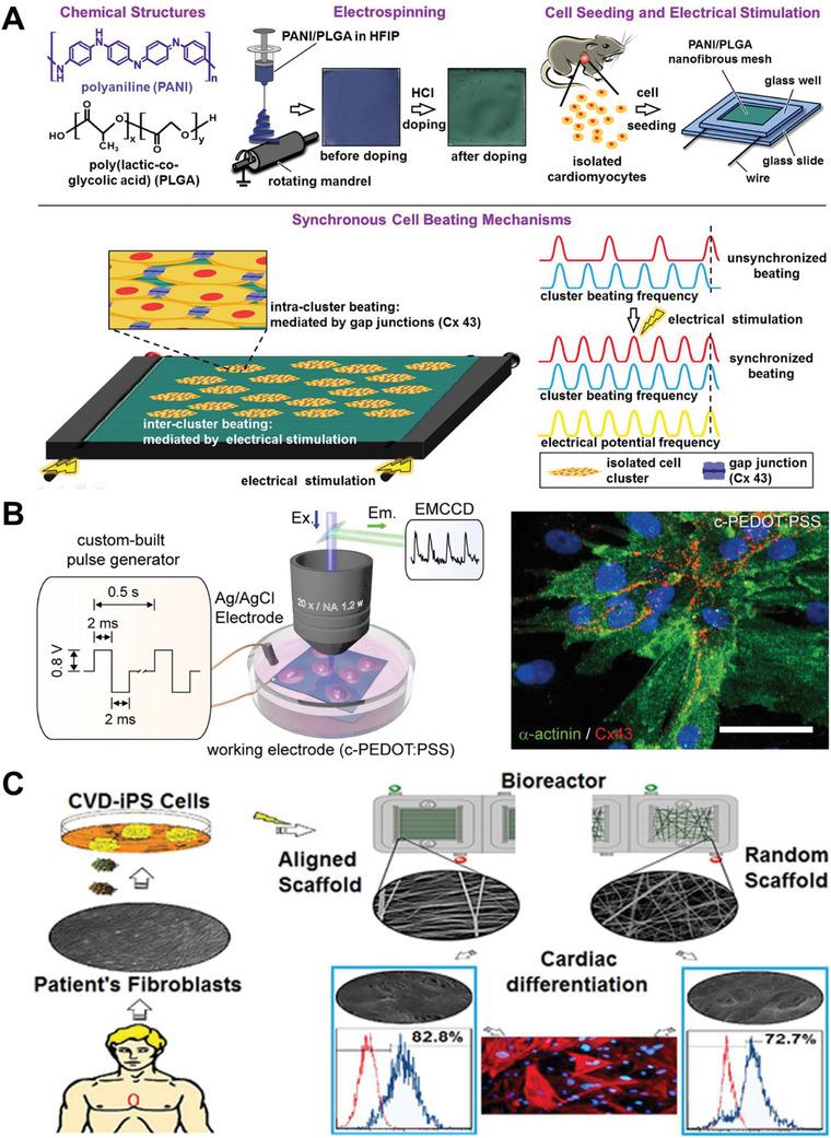 https://cdn.ncbi.nlm.nih.gov/pmc/blobs/7a24/11468390/3cdd3dcb6539/ADHM-13-2303288-g006.jpg