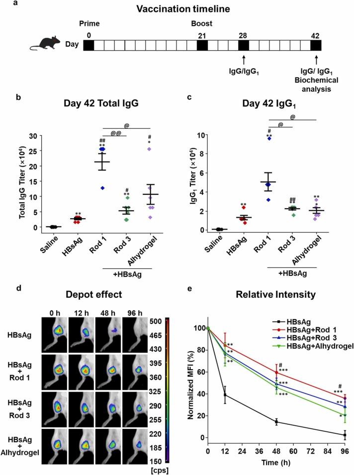 https://cdn.ncbi.nlm.nih.gov/pmc/blobs/7a26/8896059/8c199289c001/gr4_lrg.jpg
