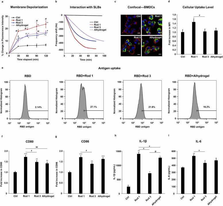 https://cdn.ncbi.nlm.nih.gov/pmc/blobs/7a26/8896059/cbaa7a7f4e27/gr3_lrg.jpg