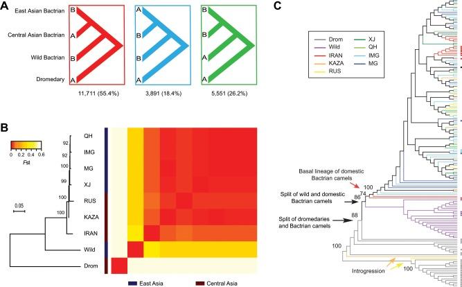 https://cdn.ncbi.nlm.nih.gov/pmc/blobs/7a2c/6946651/05a271820b61/42003_2019_734_Fig3_HTML.jpg