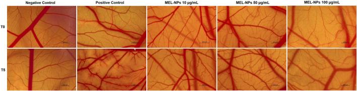https://cdn.ncbi.nlm.nih.gov/pmc/blobs/7a2d/11839674/4505a8f4805d/fphar-16-1487854-g009.jpg