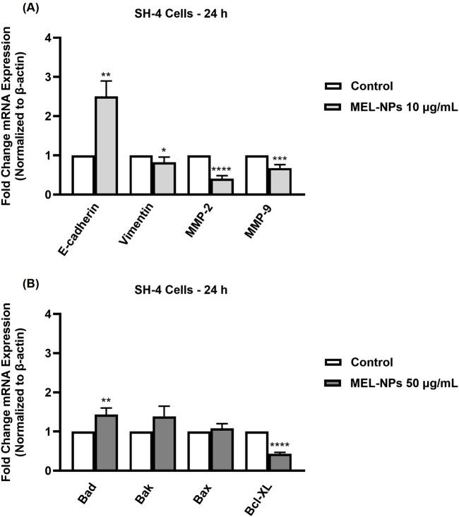 https://cdn.ncbi.nlm.nih.gov/pmc/blobs/7a2d/11839674/8c6d2f815d1b/fphar-16-1487854-g008.jpg