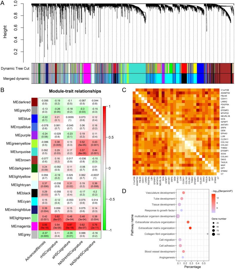 https://cdn.ncbi.nlm.nih.gov/pmc/blobs/7a32/9874973/5a07be892b2d/EC-22-0502fig8.jpg