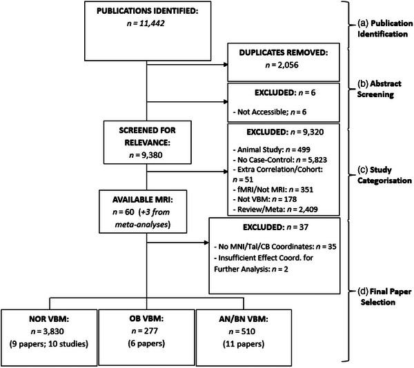https://cdn.ncbi.nlm.nih.gov/pmc/blobs/7a33/10726807/a15cfbd00167/BRB3-13-e3286-g007.jpg