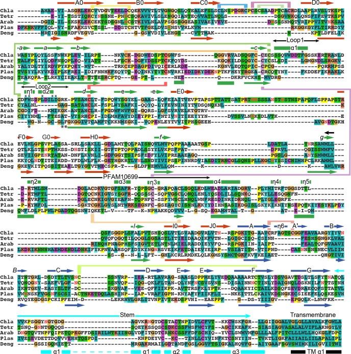 https://cdn.ncbi.nlm.nih.gov/pmc/blobs/7a33/6170185/31ef799fc08a/elife-39772-fig3.jpg