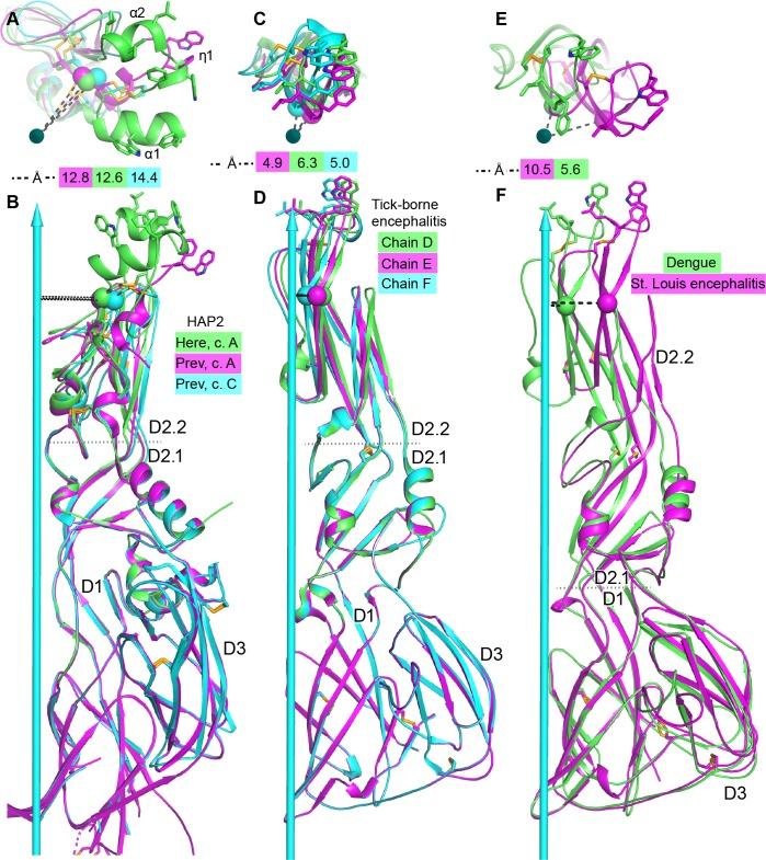 https://cdn.ncbi.nlm.nih.gov/pmc/blobs/7a33/6170185/80d8bb314ef0/elife-39772-fig5.jpg