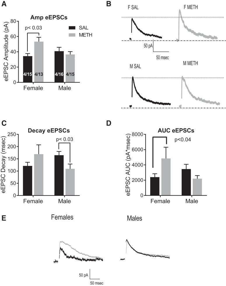 https://cdn.ncbi.nlm.nih.gov/pmc/blobs/7a34/6348447/8edf5974a9ec/enu0011928330003.jpg