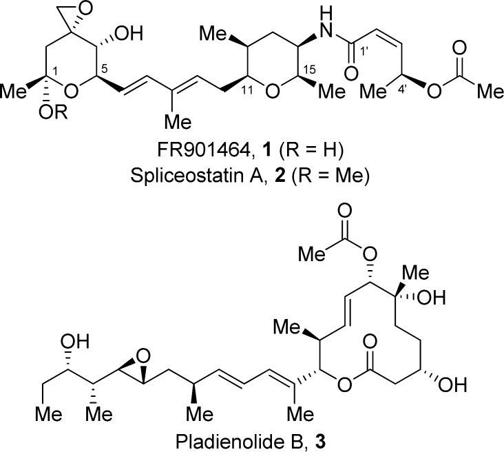 https://cdn.ncbi.nlm.nih.gov/pmc/blobs/7a35/4066912/dfa7c8b2f66f/jo-2014-00800k_0001.jpg