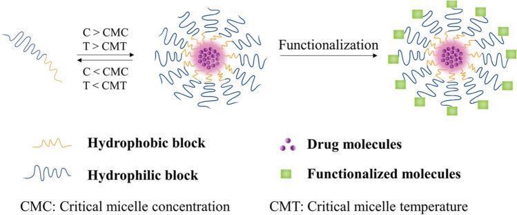 https://cdn.ncbi.nlm.nih.gov/pmc/blobs/7a35/9097569/8696d98a69f7/11095_2022_3286_Fig5_HTML.jpg