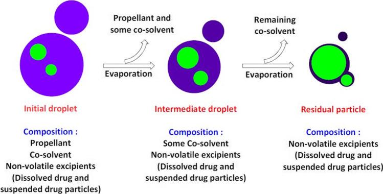 https://cdn.ncbi.nlm.nih.gov/pmc/blobs/7a35/9097569/8c08d57efd79/11095_2022_3286_Fig9_HTML.jpg