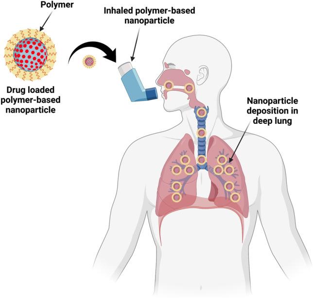 https://cdn.ncbi.nlm.nih.gov/pmc/blobs/7a35/9097569/909f1e382dce/11095_2022_3286_Fig3_HTML.jpg