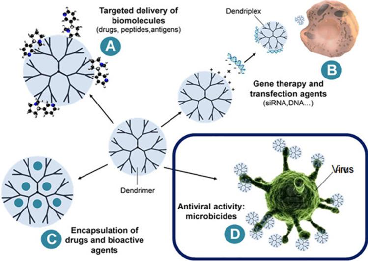 https://cdn.ncbi.nlm.nih.gov/pmc/blobs/7a35/9097569/fed4672a1a87/11095_2022_3286_Fig6_HTML.jpg