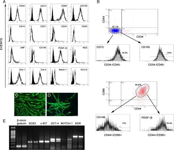 https://cdn.ncbi.nlm.nih.gov/pmc/blobs/7a38/4055119/b7cb117c9edd/scrt397-2.jpg