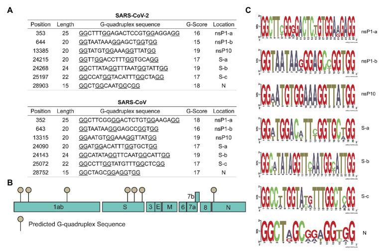 https://cdn.ncbi.nlm.nih.gov/pmc/blobs/7a38/7644843/7be388ae7106/fmicb-11-567317-g002.jpg
