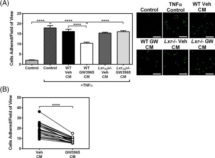 https://cdn.ncbi.nlm.nih.gov/pmc/blobs/7a3c/7900590/86a781a8f283/SCT3-10-479-g002.jpg