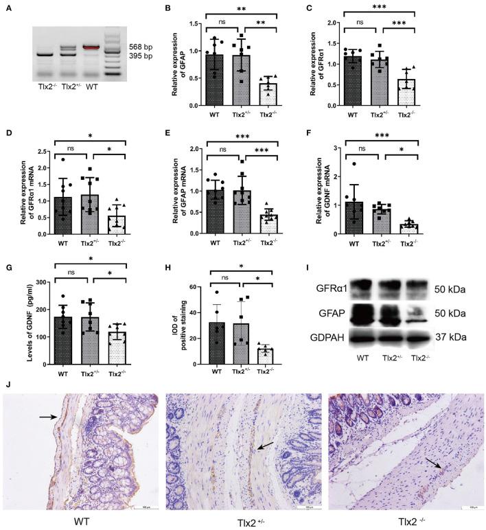 https://cdn.ncbi.nlm.nih.gov/pmc/blobs/7a3e/8796853/aa22aceb597a/fped-09-795678-g0001.jpg