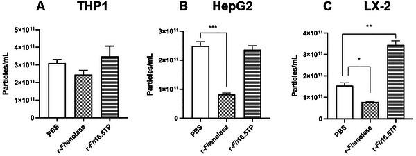 https://cdn.ncbi.nlm.nih.gov/pmc/blobs/7a43/12127667/12b23262bc7a/JEX2-4-e70055-g007.jpg