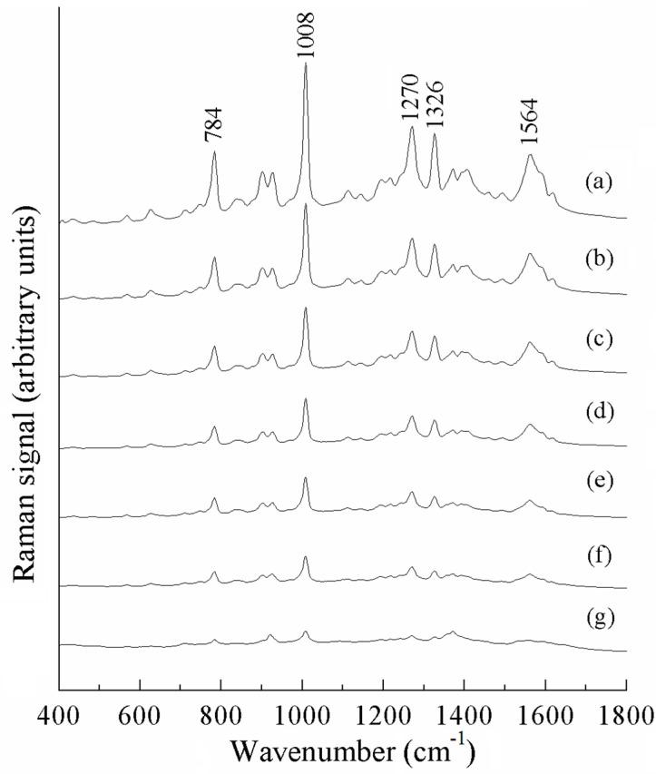 https://cdn.ncbi.nlm.nih.gov/pmc/blobs/7a44/12390197/13317ecf3148/sensors-25-04912-g005.jpg