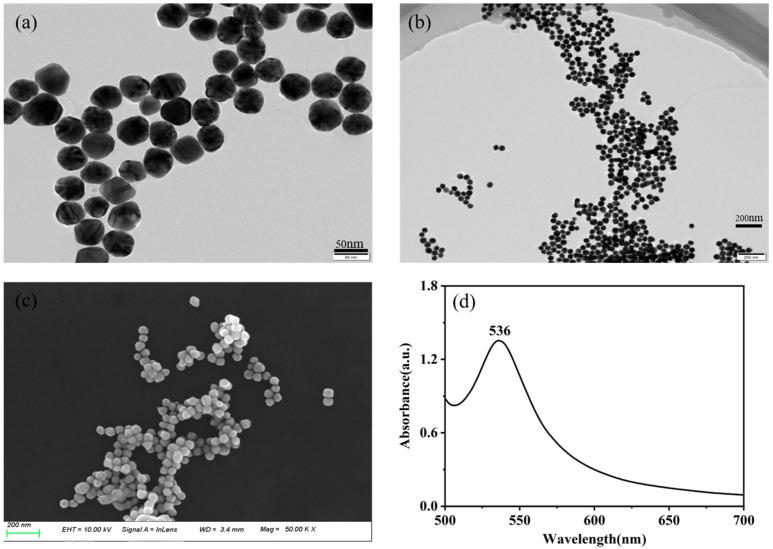 https://cdn.ncbi.nlm.nih.gov/pmc/blobs/7a44/12390197/178d2ad48ef2/sensors-25-04912-g001.jpg
