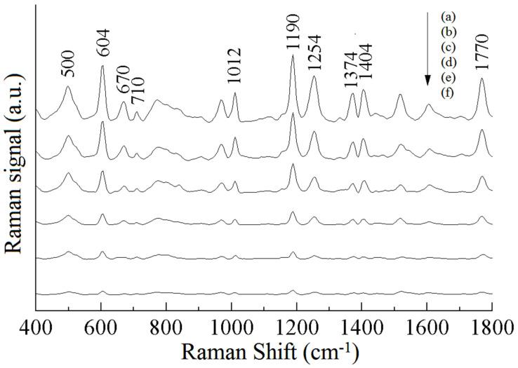 https://cdn.ncbi.nlm.nih.gov/pmc/blobs/7a44/12390197/511281afa72d/sensors-25-04912-g003.jpg