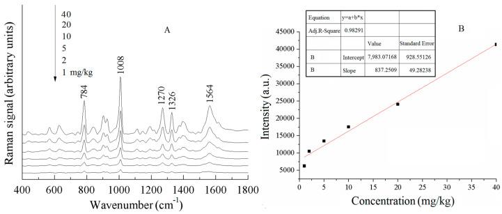 https://cdn.ncbi.nlm.nih.gov/pmc/blobs/7a44/12390197/7915e6e35235/sensors-25-04912-g009.jpg