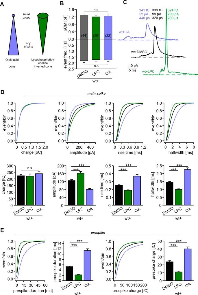 https://cdn.ncbi.nlm.nih.gov/pmc/blobs/7a44/7239655/7fc736240c92/elife-55152-fig3.jpg