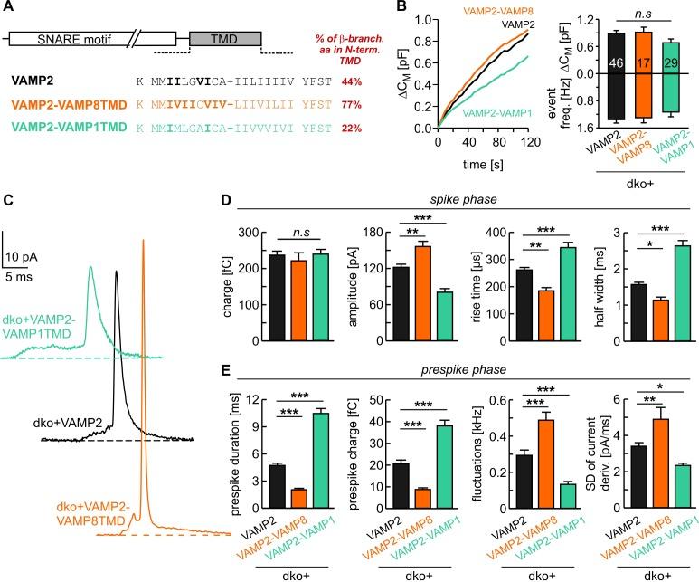 https://cdn.ncbi.nlm.nih.gov/pmc/blobs/7a44/7239655/955d73c2e695/elife-55152-fig1.jpg