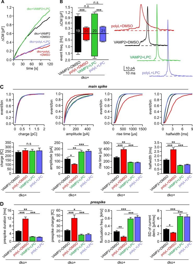https://cdn.ncbi.nlm.nih.gov/pmc/blobs/7a44/7239655/9bd377eaabc6/elife-55152-fig5.jpg