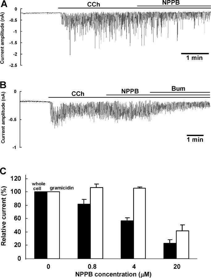https://cdn.ncbi.nlm.nih.gov/pmc/blobs/7a48/2229610/3d910a88571d/200308948f5.jpg