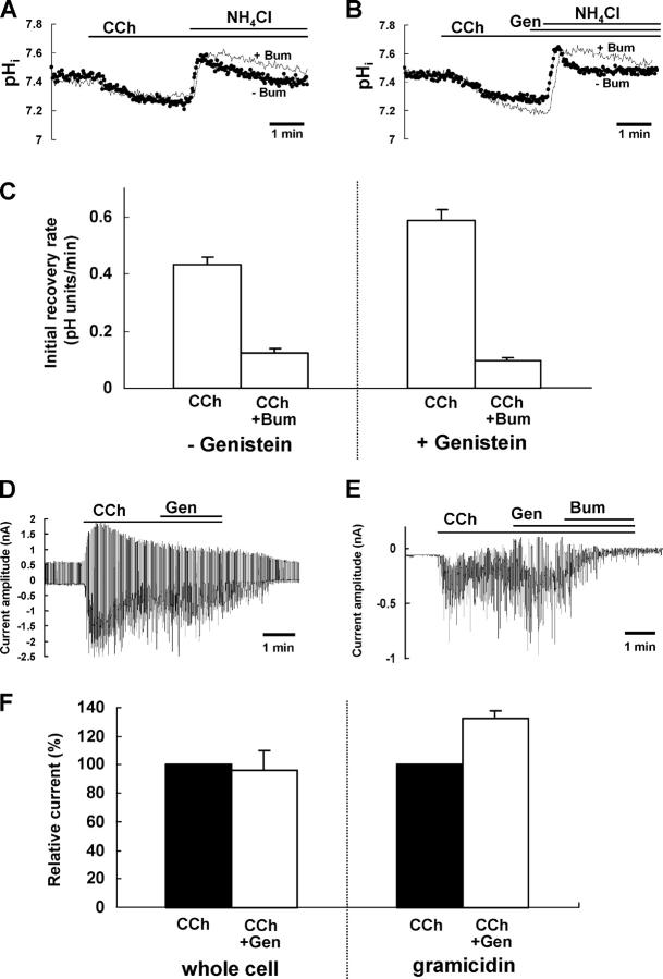 https://cdn.ncbi.nlm.nih.gov/pmc/blobs/7a48/2229610/dd3a02bd9428/200308948f4.jpg