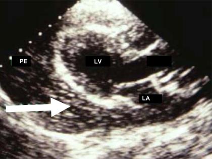 https://cdn.ncbi.nlm.nih.gov/pmc/blobs/7a49/3263480/38c2d5a59d68/CCR-7-157_F3.jpg