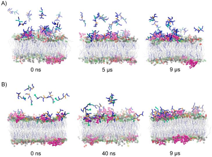 https://cdn.ncbi.nlm.nih.gov/pmc/blobs/7a49/9139471/a51222850ea2/cells-11-01638-g004.jpg