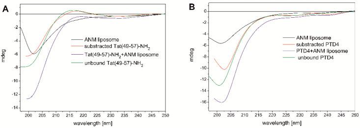 https://cdn.ncbi.nlm.nih.gov/pmc/blobs/7a49/9139471/ccce67181307/cells-11-01638-g002.jpg