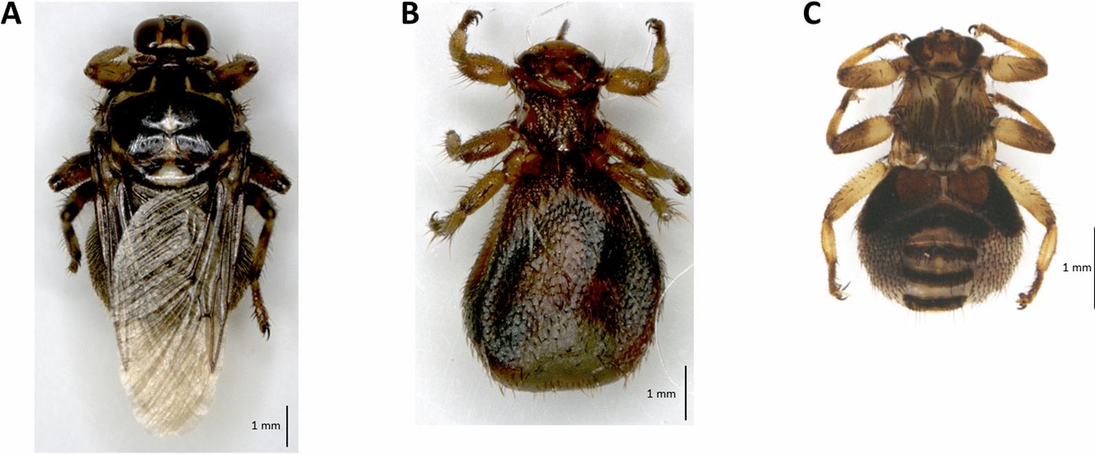 https://cdn.ncbi.nlm.nih.gov/pmc/blobs/7a4a/10236838/b0d9c386c082/13071_2023_5810_Fig2_HTML.jpg