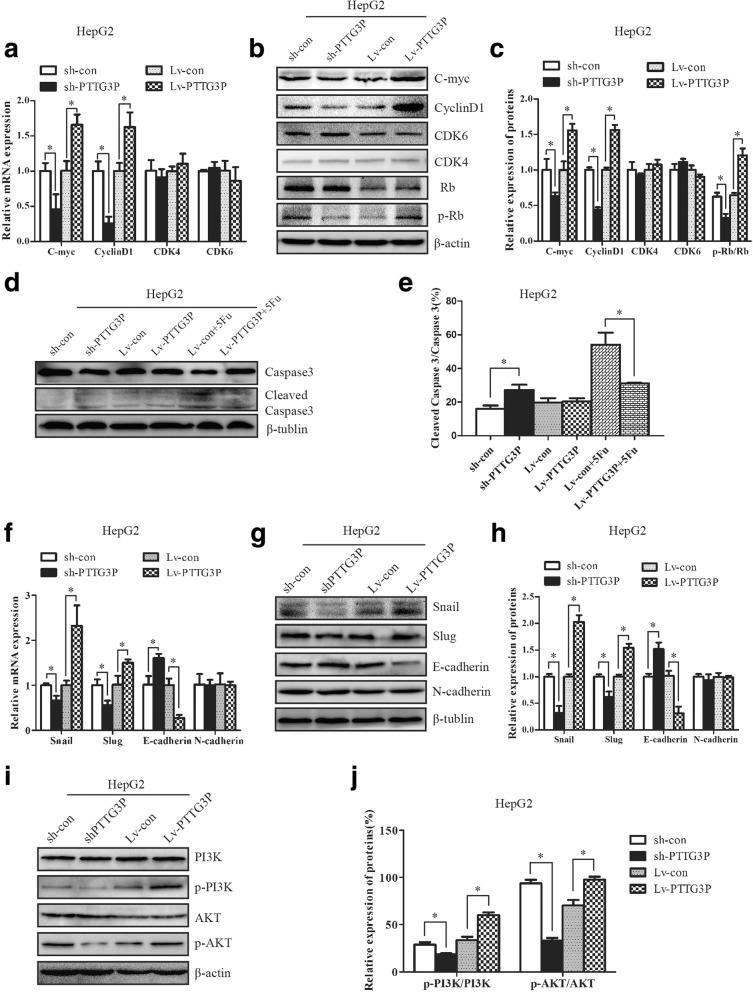 https://cdn.ncbi.nlm.nih.gov/pmc/blobs/7a4a/5970477/501ead77f8b9/12943_2018_841_Fig6_HTML.jpg