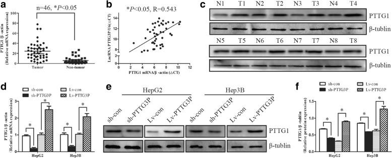 https://cdn.ncbi.nlm.nih.gov/pmc/blobs/7a4a/5970477/955214f74df0/12943_2018_841_Fig7_HTML.jpg