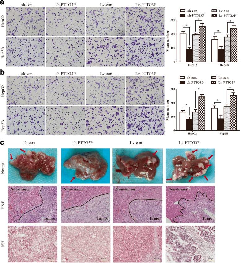 https://cdn.ncbi.nlm.nih.gov/pmc/blobs/7a4a/5970477/c9604581208c/12943_2018_841_Fig5_HTML.jpg